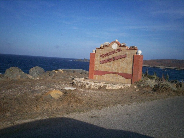 110.jpg
