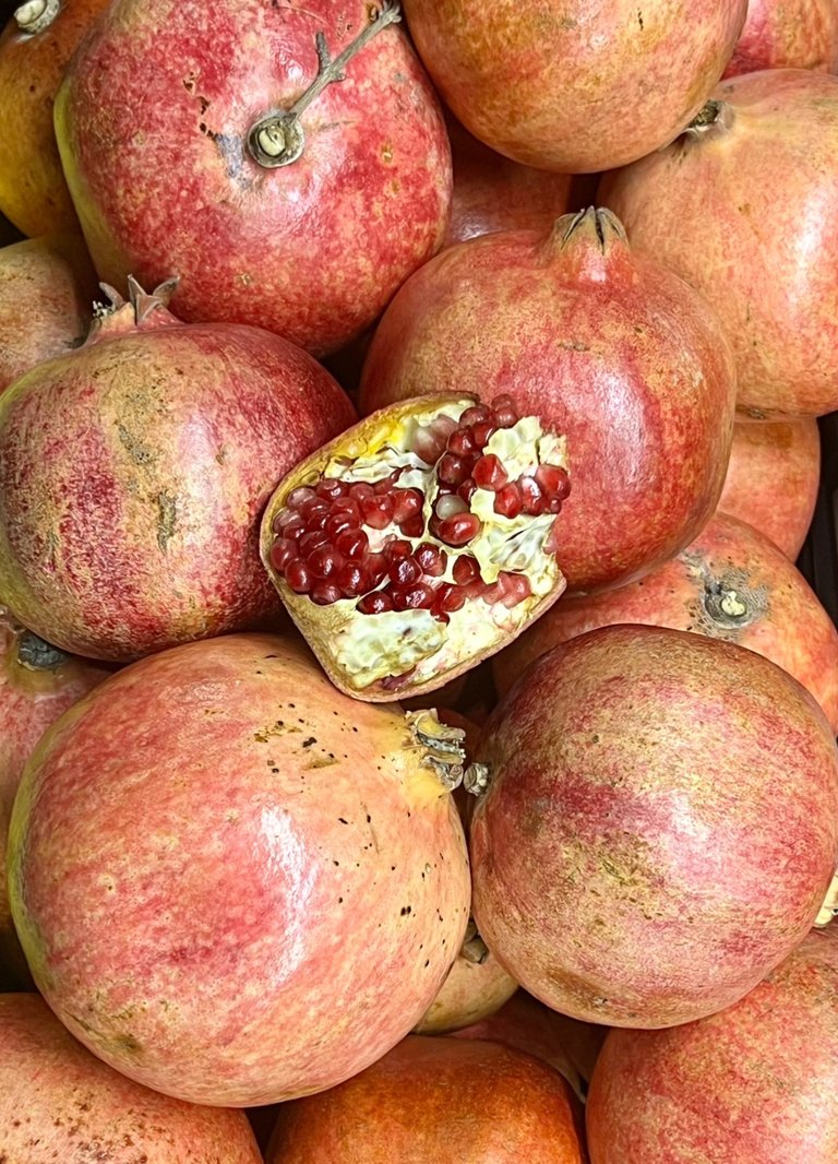 Pomegranates / Unity & Interconnectedness, UK,  2023