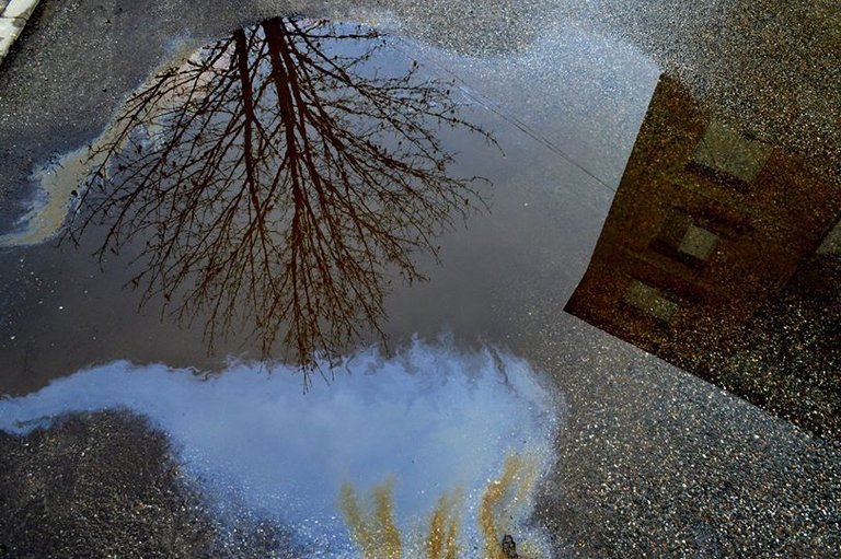 "From Romania with love" Ironically this puddle had the shape of Romania (see on Europe map if curious) :),  Once upon a time in Romania