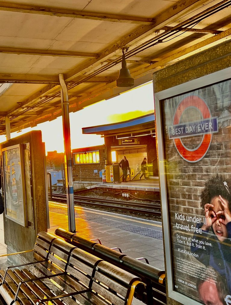 Let Here Be LIGHT!, Somewhere in the UK, 2024