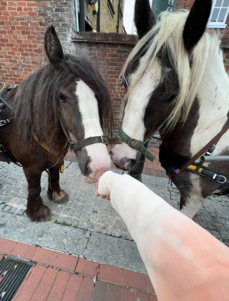 Approaching them empty handed… so sorry, all I got for you today is LOVE!
