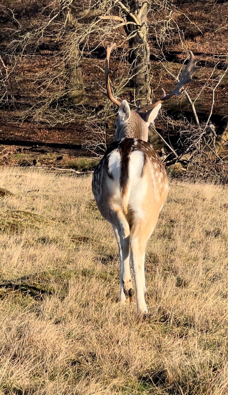 are you following me?