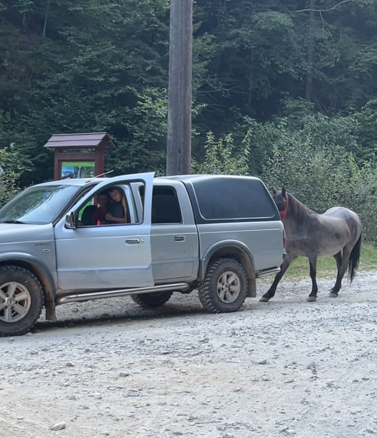 Two young brothers, their dads car and horse perhaps… no clue.. I just passed by and saw this scene… oh wild RawMania.