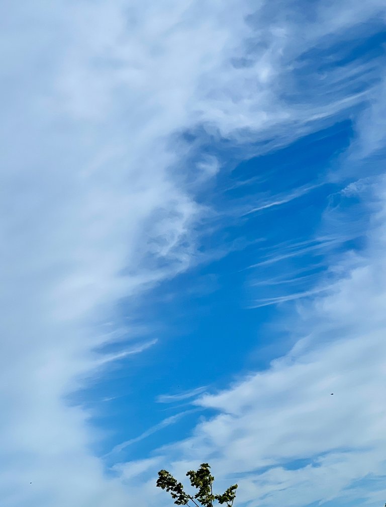 Air Portrait, Chatham, UK, 2024