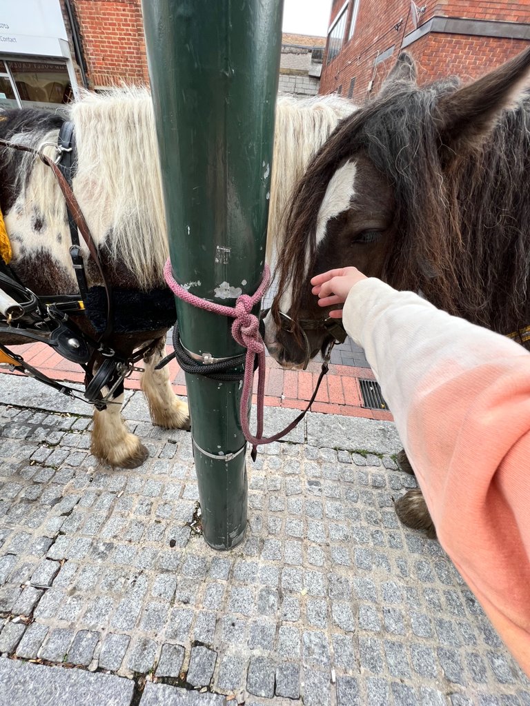Patience & hunger, recieved some love from my side. Chatham highstreet, UK