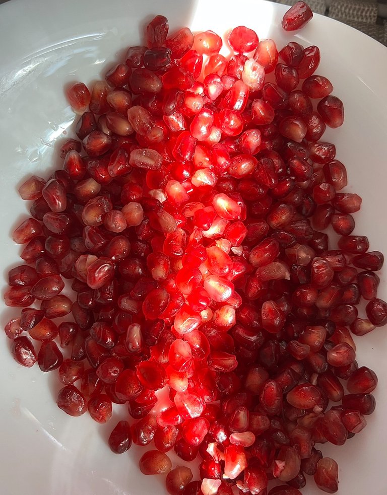 Pomegranate Seeds / Multiplicative Power - Immortality, Romania, 2024 