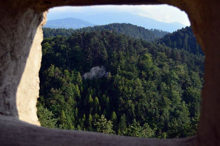  View from the Fortress to the other side, Heart Shape Cliff in the Pine Trees Forest, Rosenauer Burg / Râșnov, Brașov County, Romania, Once upon a time.