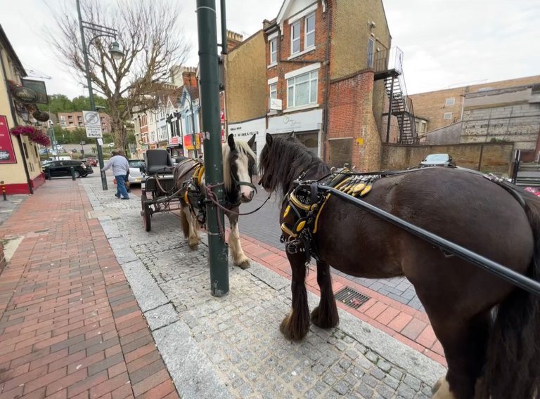 They have been parked on the highstreet by their owner.
