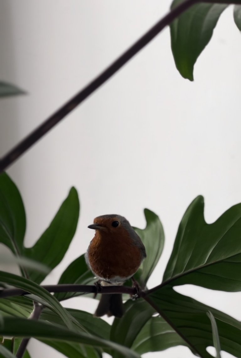 IMG_7119.jpeg