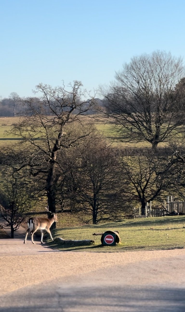 heading to my field, do not disturb!….see the sign? 
