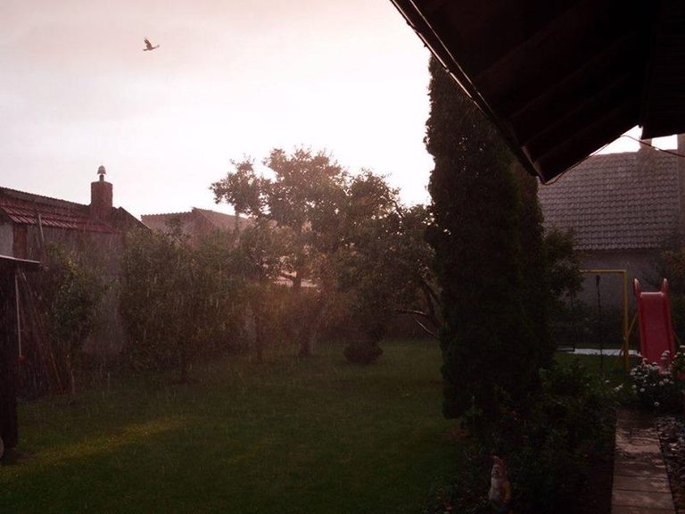 Beautiful Sunset blessed by the Summer Rain & a Bird, The Garden from the house i used to live, Rosenauer Burg / Râșnov, Brașov County, Romania, Once upon a time.