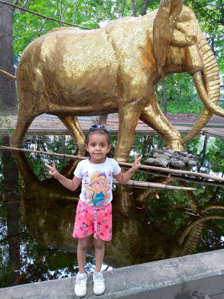 IMG_20250525_163530_797.jpg