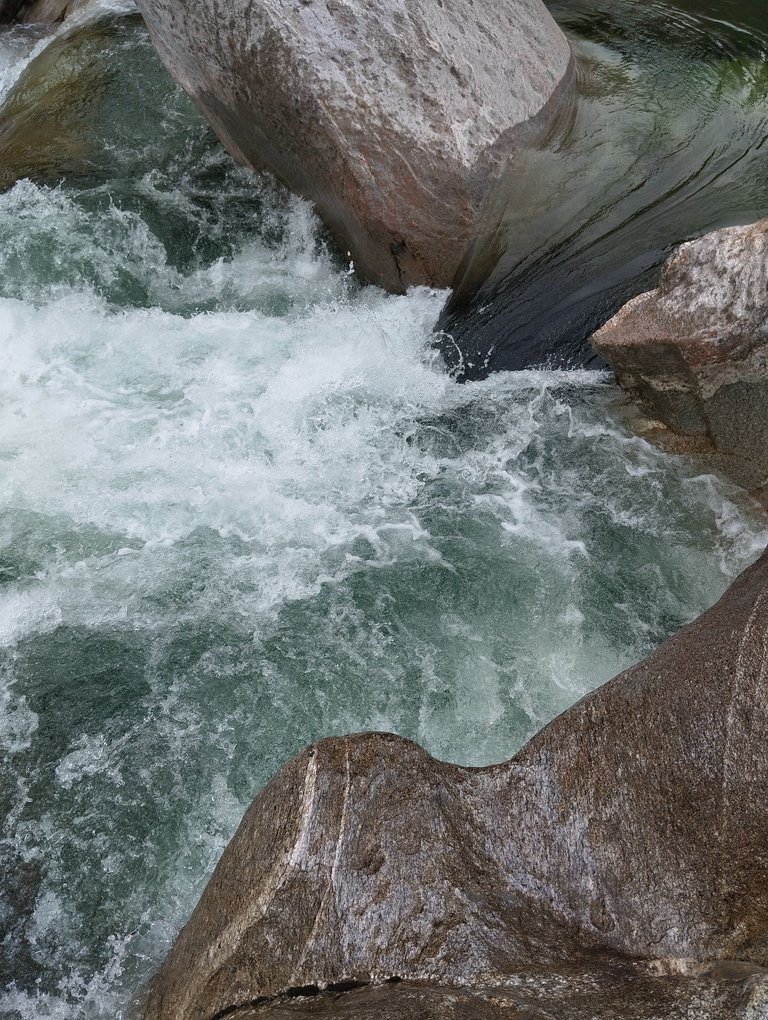 1000080499.jpg