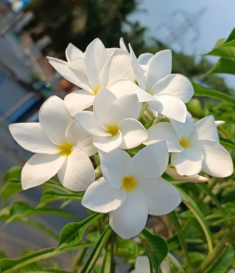 JvFFVmatwWHRfvmtd53nmEJ94xpKydwmbSC5H5svBACH814tdTs8dTQaq3HZDxkR6NqwWej2Bipt1mNg8fsiKdBnzbudnNZGkmbRPcy3kPzuSuy5eVVvwxDAU7sa4MdpKo1NMhjUWz.jpeg