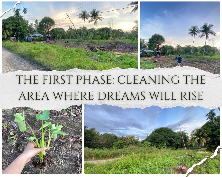 THE FIRST PHASE: CLEARING THE AREA WHERE DREAMS WILL RISE