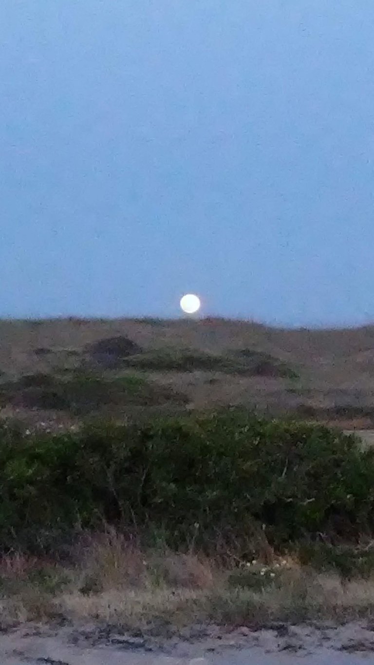 moon over dune.jpg