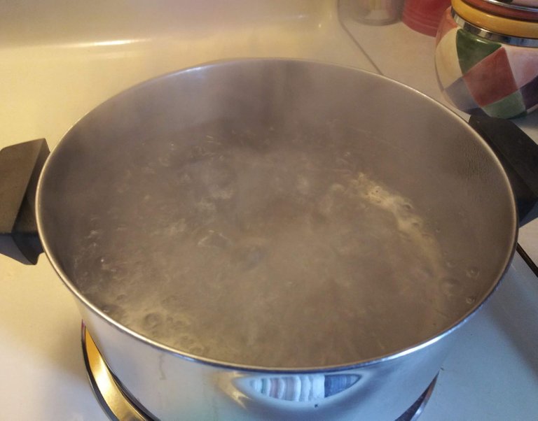 bring water to a boil.jpg