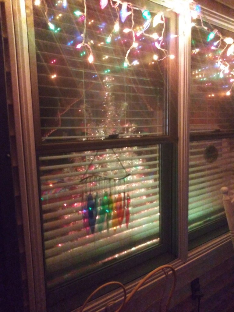 20201212_174818_HDR.jpg
