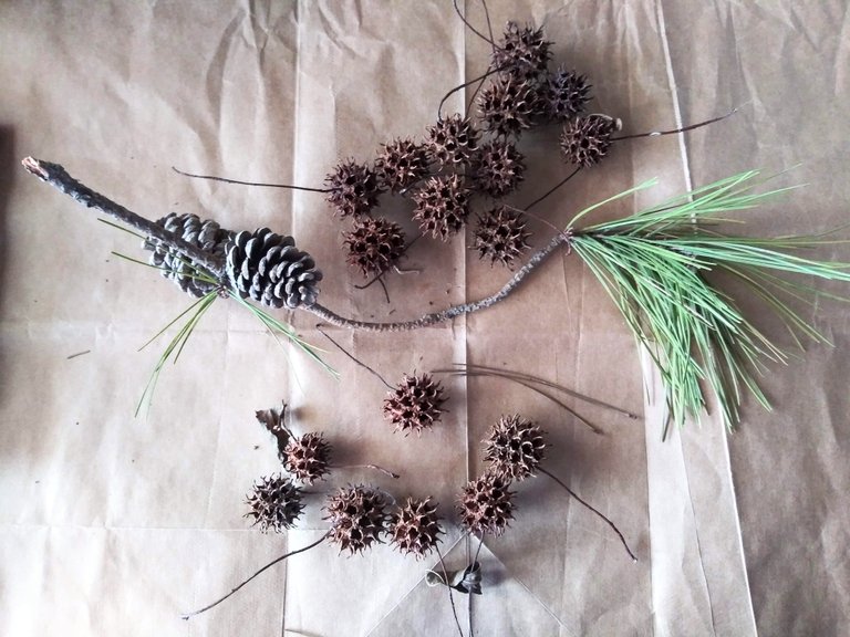 sweet gum and pine sprig.jpg