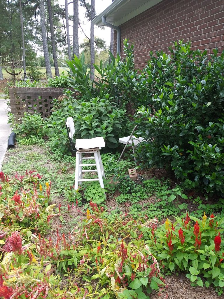 stool in garden.jpg