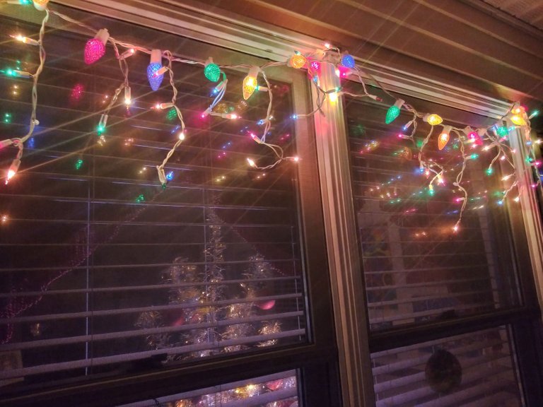 20201212_174926_HDR.jpg