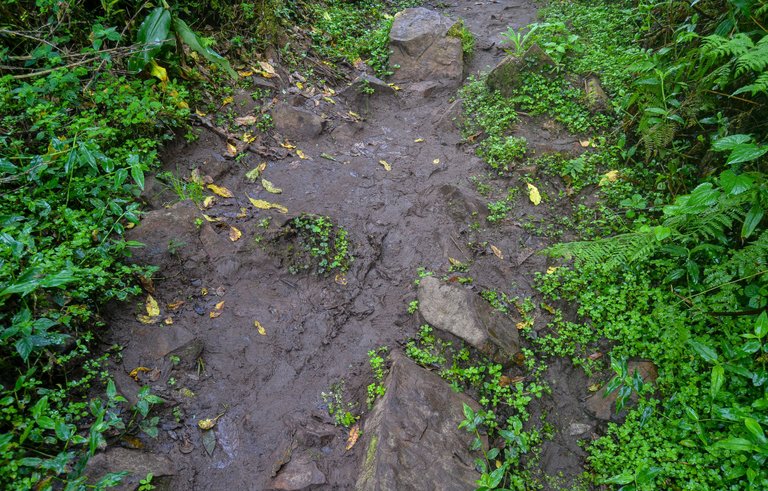 DSC_7102.jpg