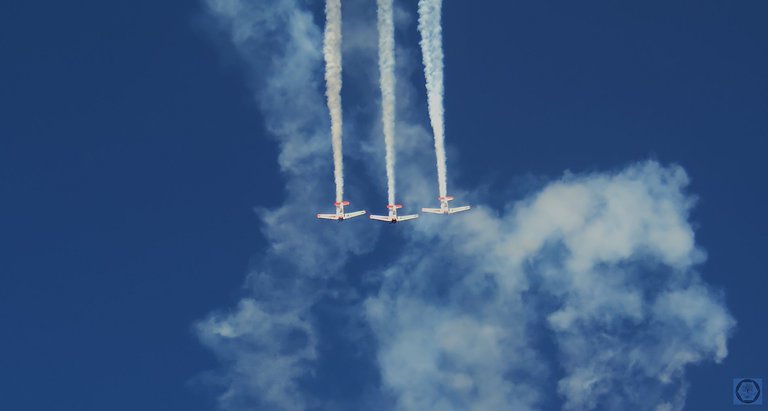 DSC_2677-1.jpg