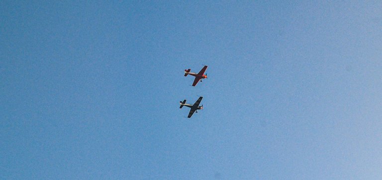 DSC_8031.jpg