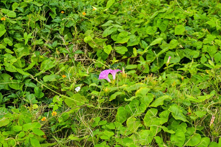 DSC_3867.jpg