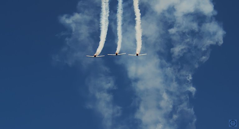 DSC_2679-1.jpg