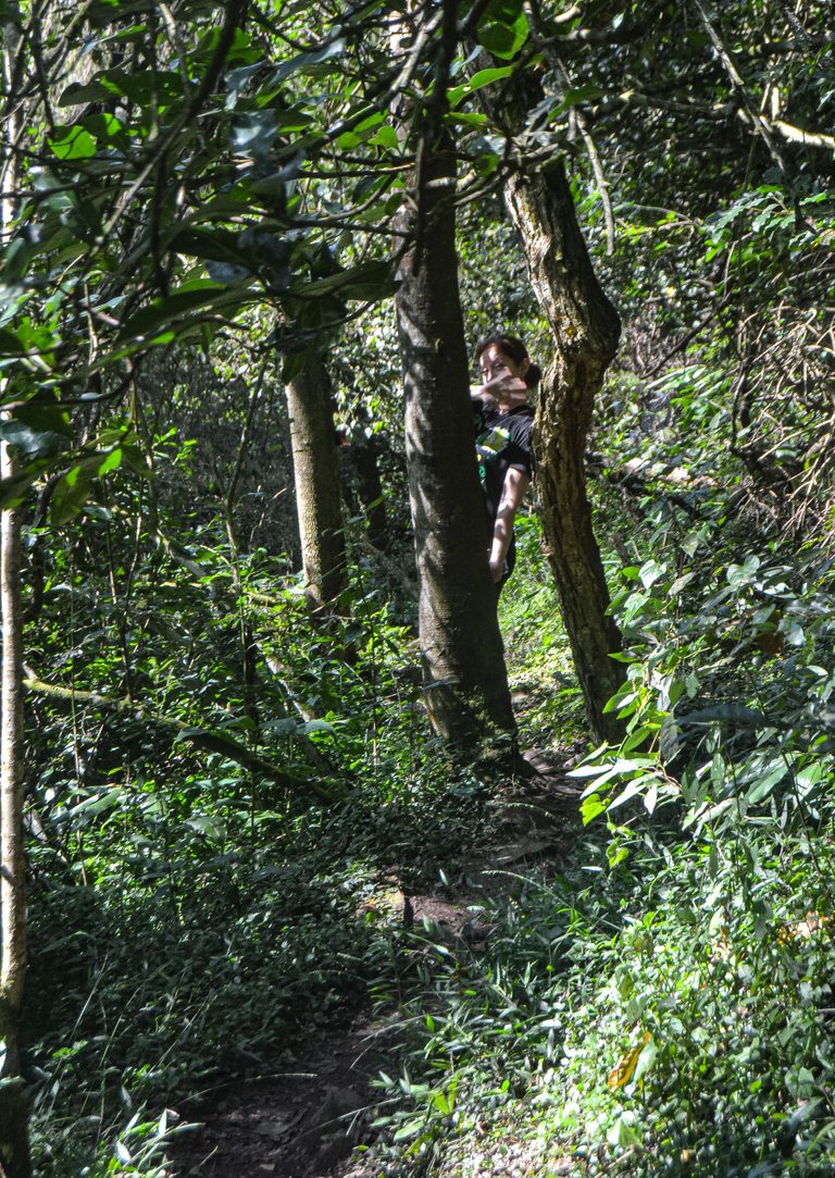 DSC_7167.jpg