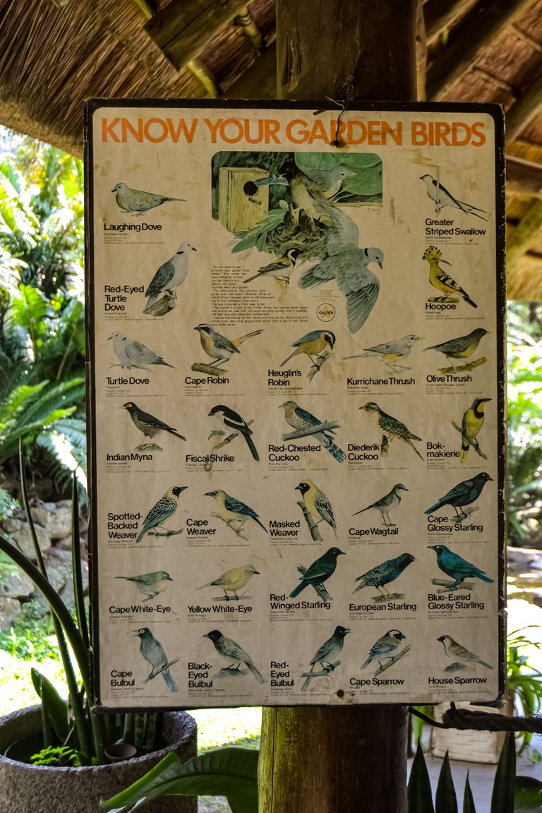 DSC_3932.jpg