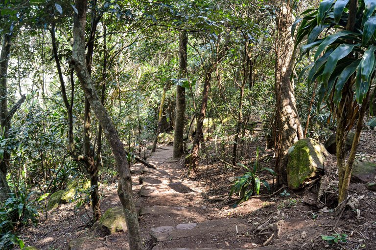 DSC_4044.jpg