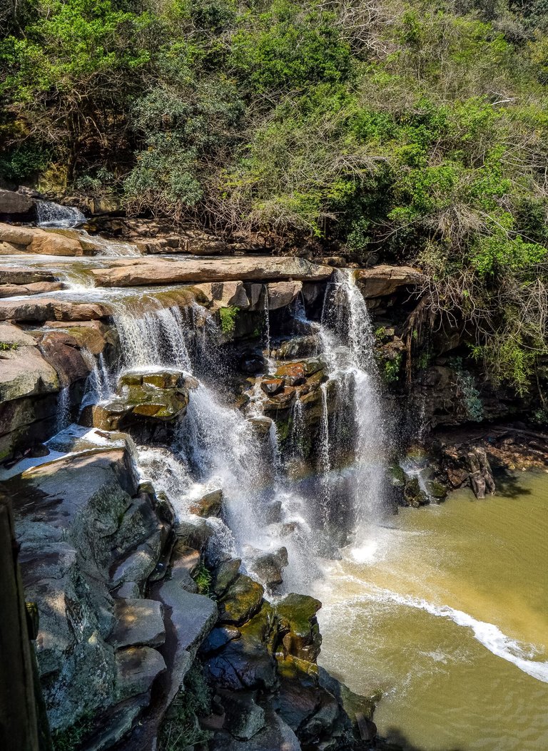 DSC_4028.jpg