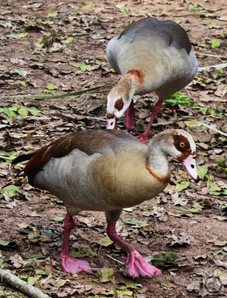 DSC_3071.jpg
