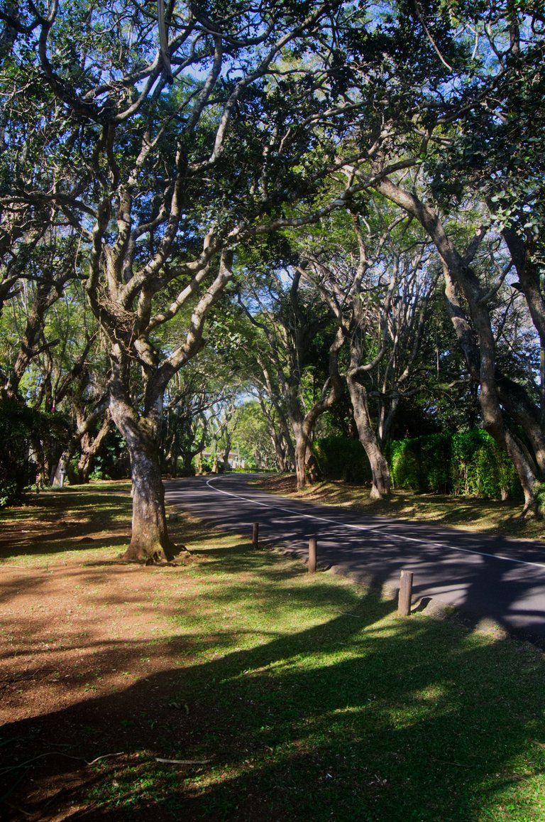 DSC_1635.jpg