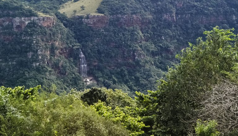DSC_2015.jpg