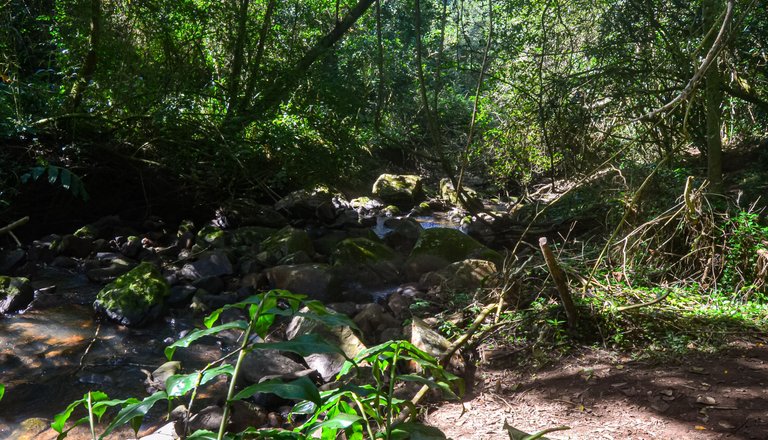 DSC_7169.jpg