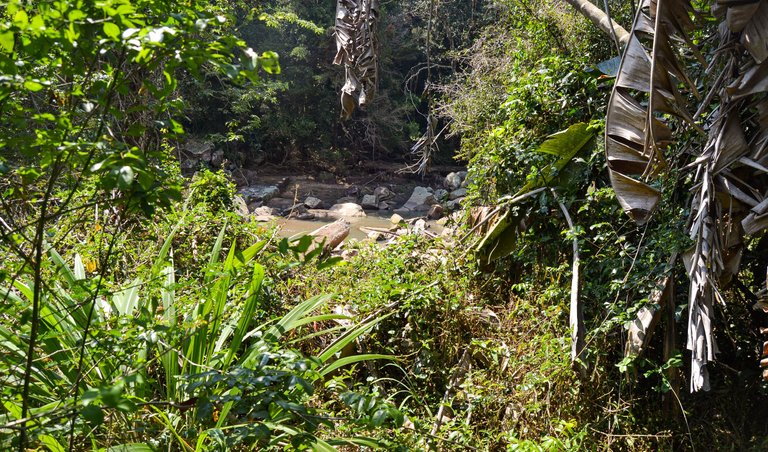 DSC_3957.jpg