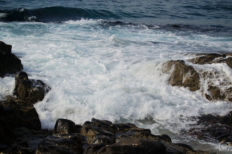 DSC_2419.jpg