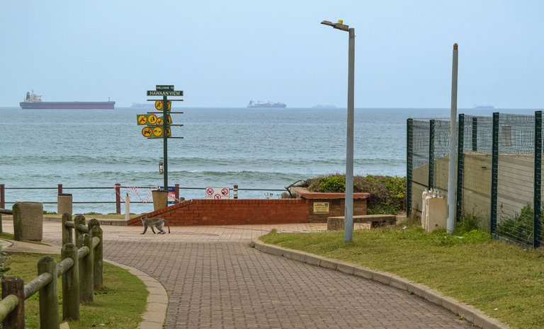 DSC_3824.jpg