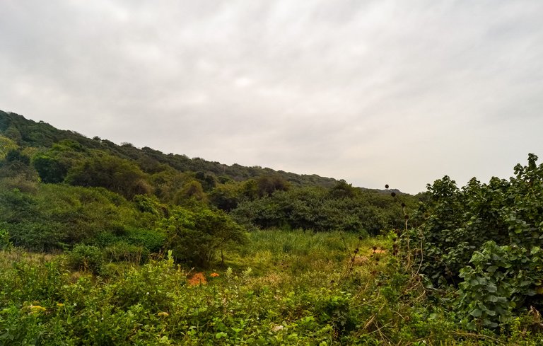 DSC_3808.jpg