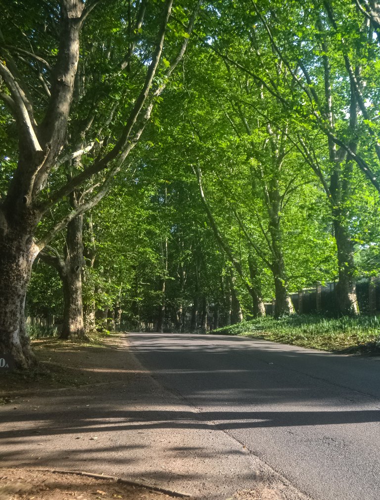 DSC_9405.jpg