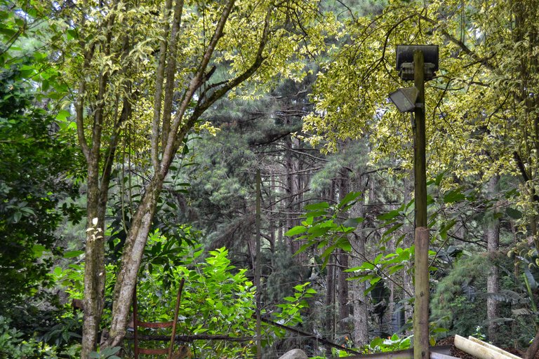 DSC_6187.jpg