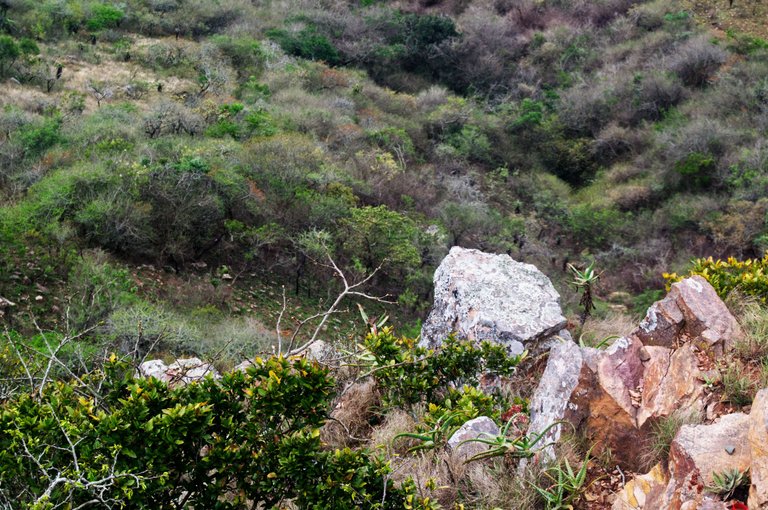 DSC_0876.jpg