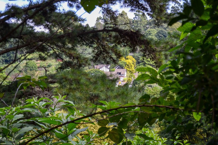 DSC_6163.jpg