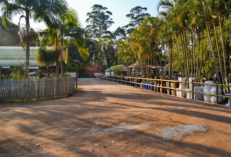 DSC_2885.jpg