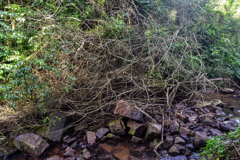 DSC_7110.jpg