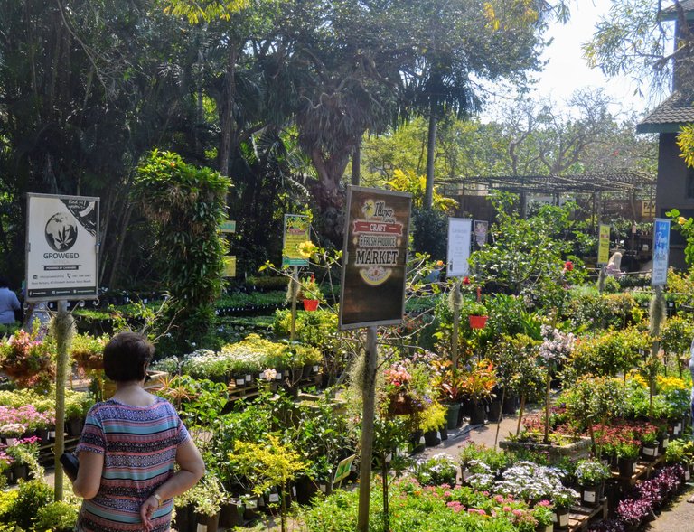 11 - Nursery.jpg