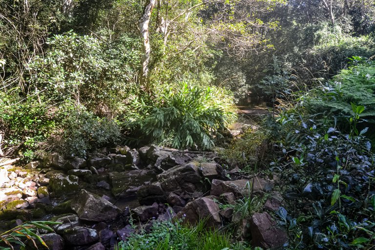 DSC_7122.jpg